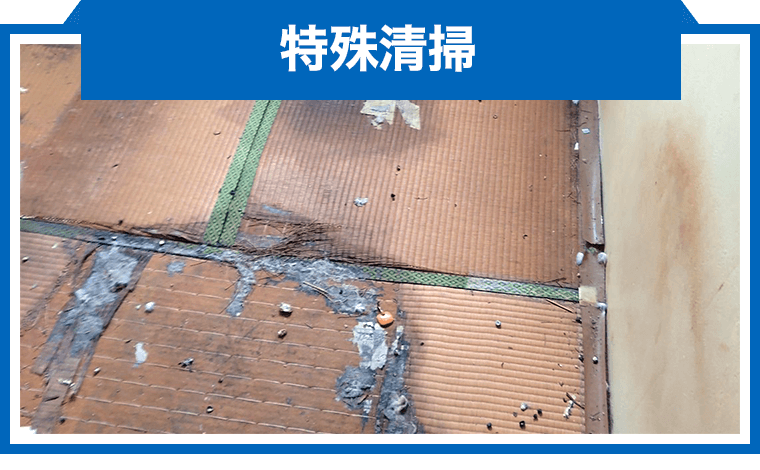 特殊清掃